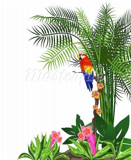 Pictures Tropical Leaf Rain Forest Background Clipart Car Pictures