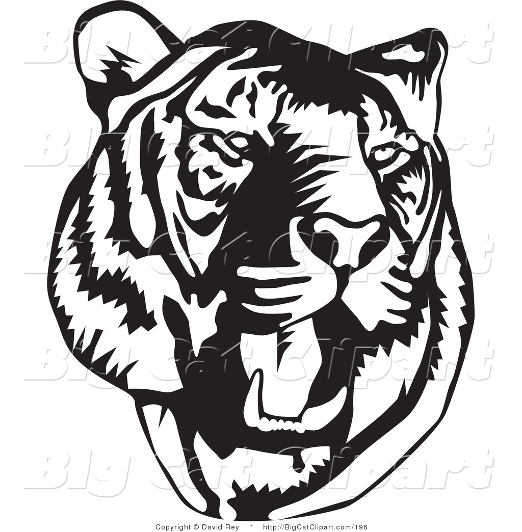 Roar Clipart Big Cat Vector Clipart Of A Black And White Roaring Tiger    