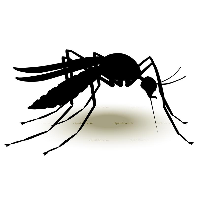 Clipart Mosquito   Royalty Free Vector Design