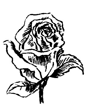Rose Clipart Gallery