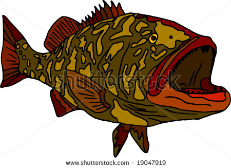 Vector   Fish Gag Grouper Isolated On White Background