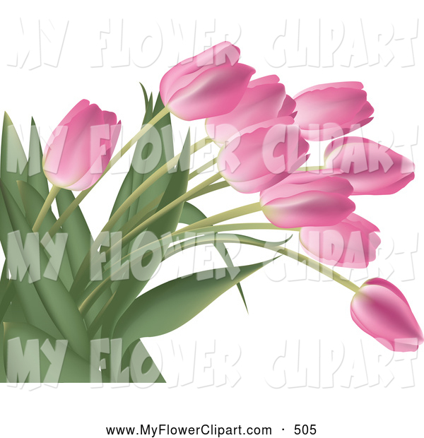 Clip Art Of A Bright Bunch Of Pink Tulip Flowers With Lush Green