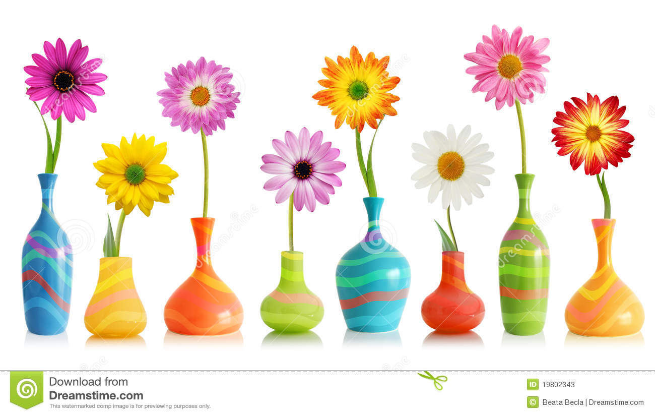 Colorful Daisy Flowers In Bright Vases Isolated On White