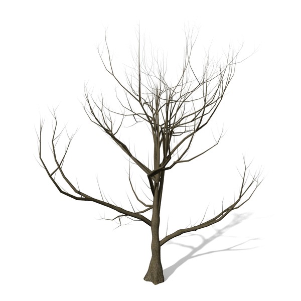 15 Tree No Leaves Free Cliparts That You Can Download To You Computer