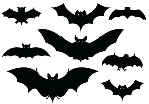 Halloween Bat Silhouette Vector Packcategory  Halloween Vector