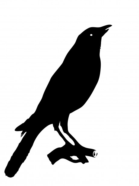 Bird Crow Clipart By Karen Arnold