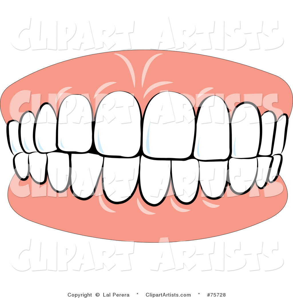 Teeth Clipart Vector Teeth Clipart By Lal Perera 75728 Jpg