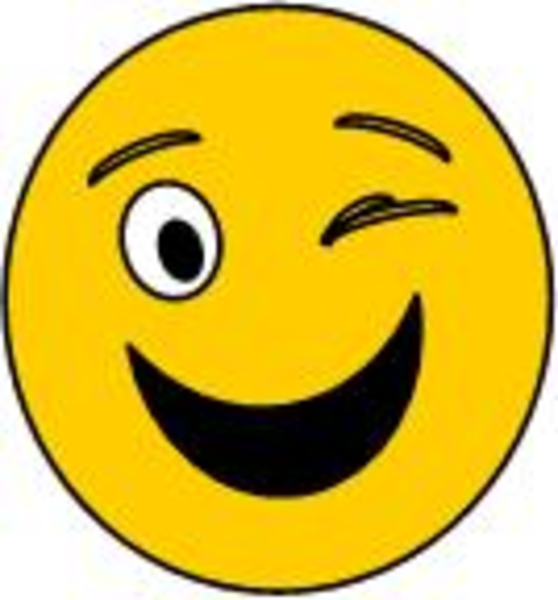 Winking Face   Free Images At Clker Com   Vector Clip Art Online