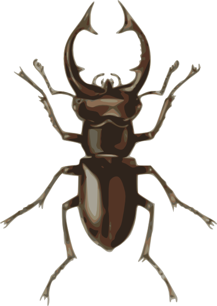 Stag Beetle Clip Art At Clker Com   Vector Clip Art Online Royalty