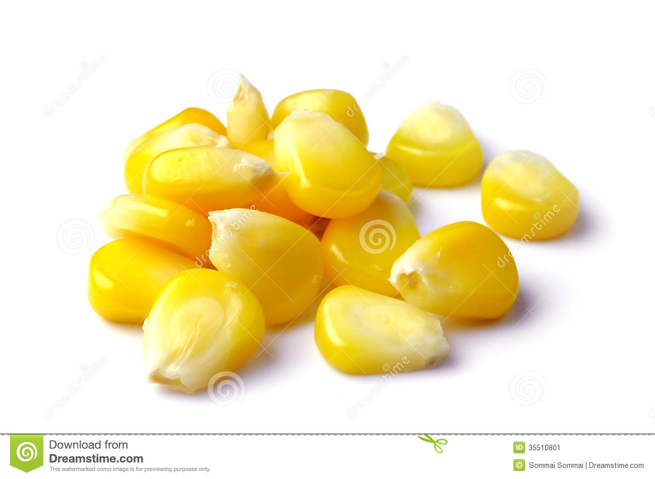 Sweet Whole Kernel Corn Stock Image   Image  35510801