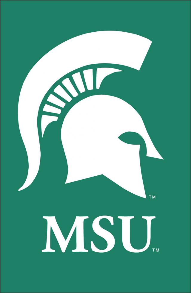 Michigan State University License Plate   Logo Products 4 Less