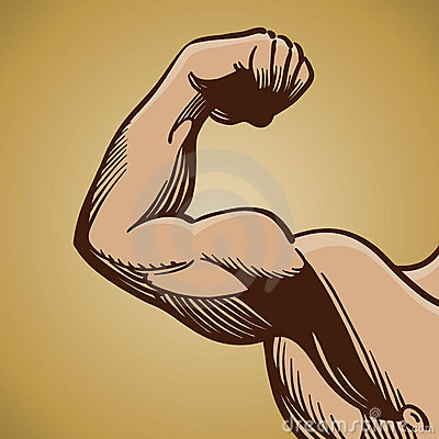 Arm Bicep Flexing Muscle Stock Illustrations Vectors   Clipart
