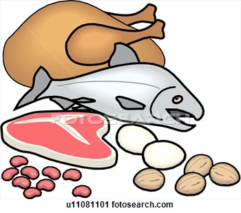 Protein Food Group Clipart   Clipart Panda   Free Clipart Images