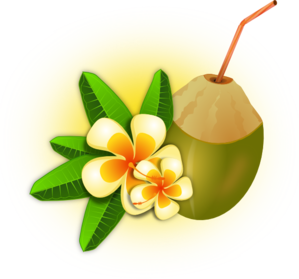 Tropical Flower With Coconut Drink Clip Art At Clker Com   Vector Clip