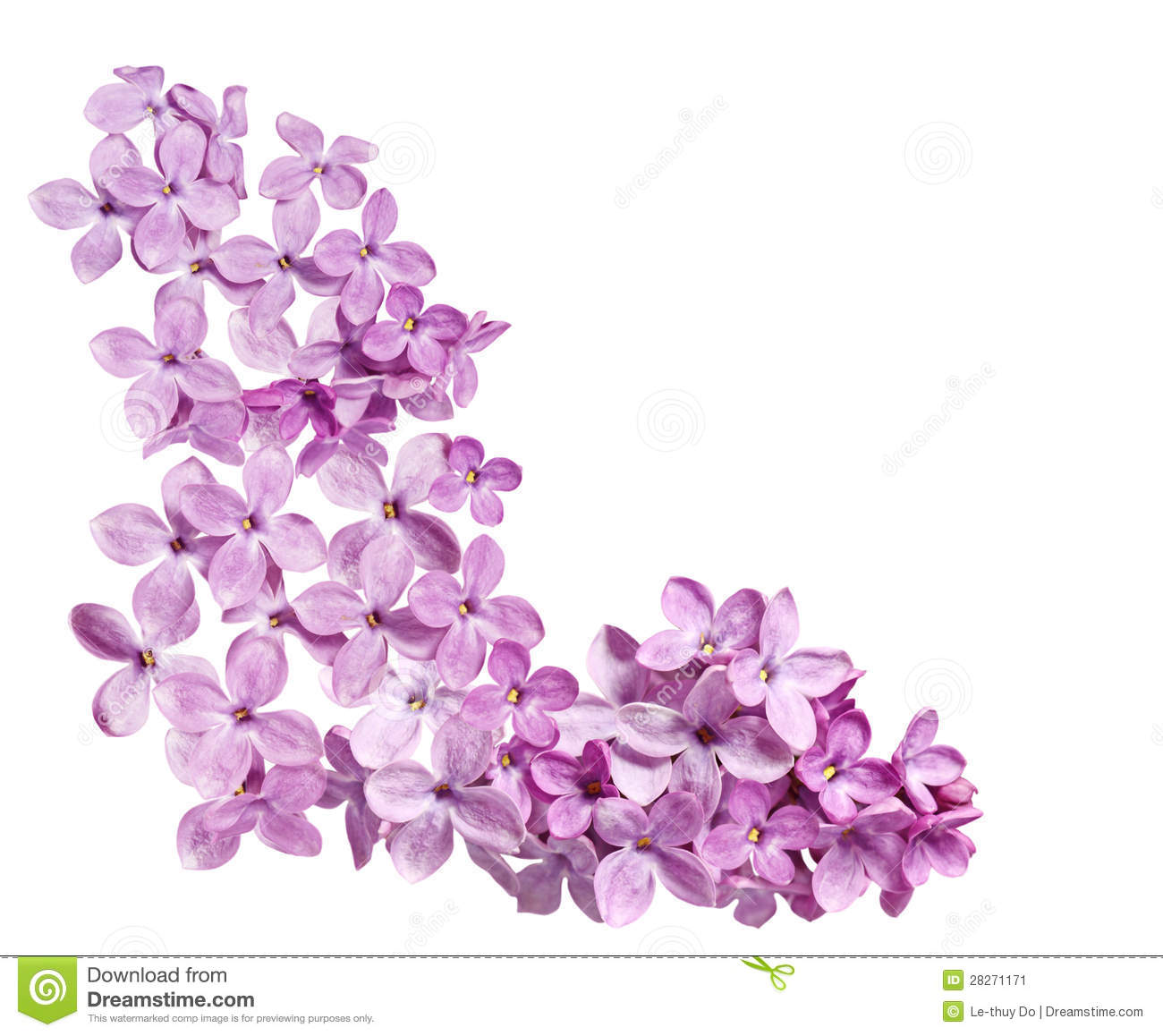 Pink Purple Lilac Flower Arranged As Corner Of Frame