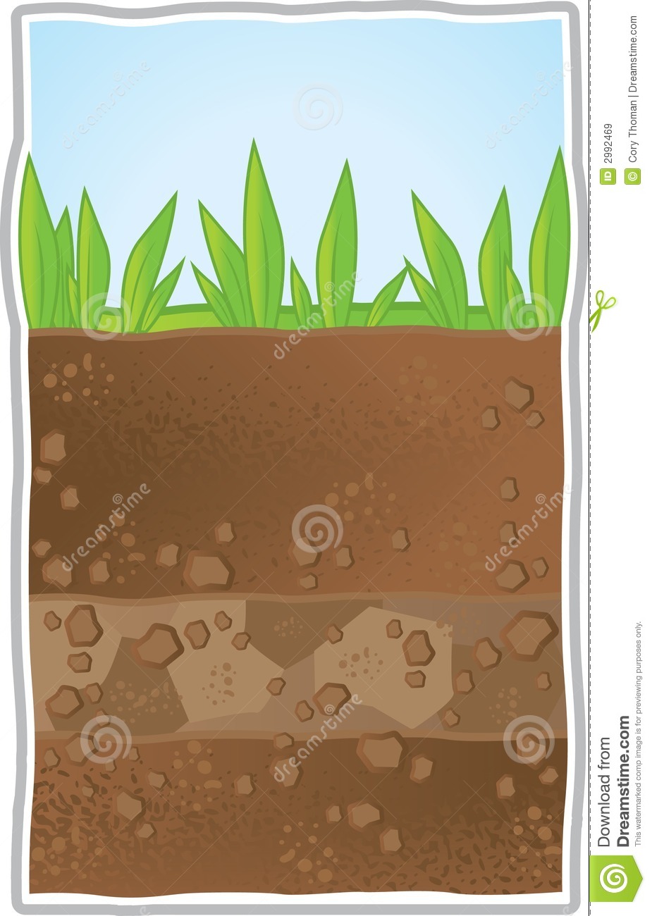Soil Layers Clipart A Cross Section Of Layers Of