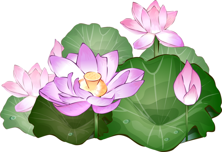 38 Lotus Flower Clipart   Free Cliparts That You Can Download To You