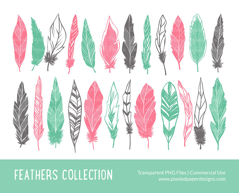 Feather Clip Art  Feather Digital Clipart By Pixeledpaperdesigns