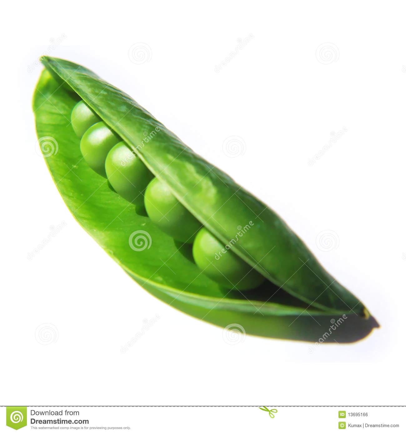 Green Peas Clip Art Fresh Green Peas In Legume