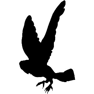 12 Silhouette Of Screech Owl Free Cliparts That You Can Download To
