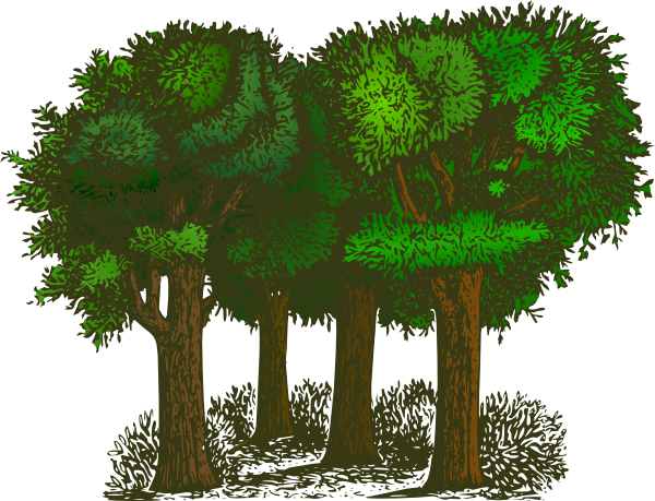 Group Of Trees Clip Art At Clker Com   Vector Clip Art Online Royalty