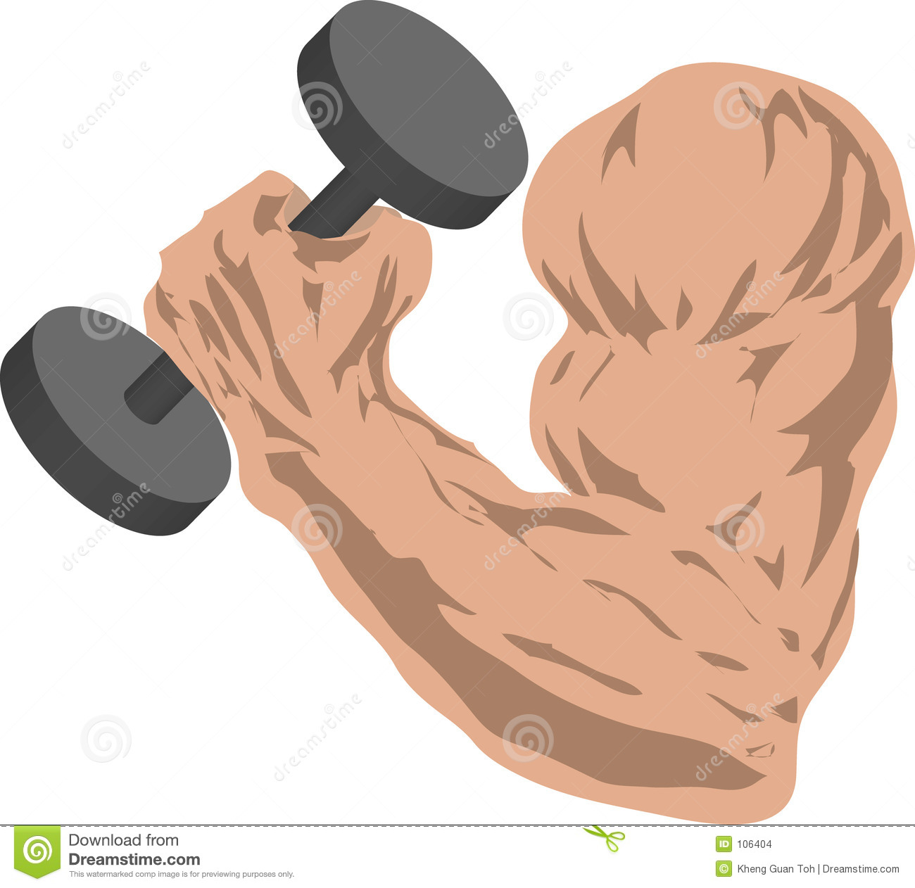 Muscular Arm Grasping A Barbell
