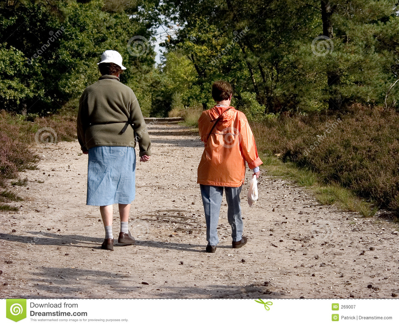 Seniors Walking In Forest 