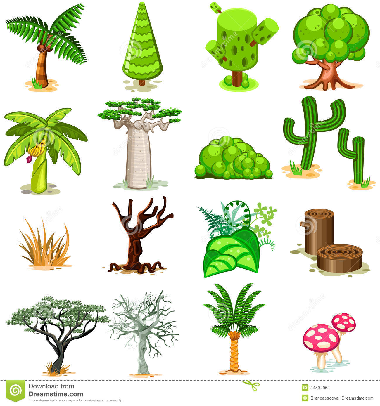 Various Green Rainforest Dessert Swamp Trees Vector Illustration
