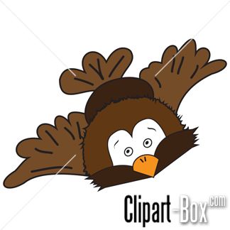 Clipart Flying Owl   Cliparts   Pinterest