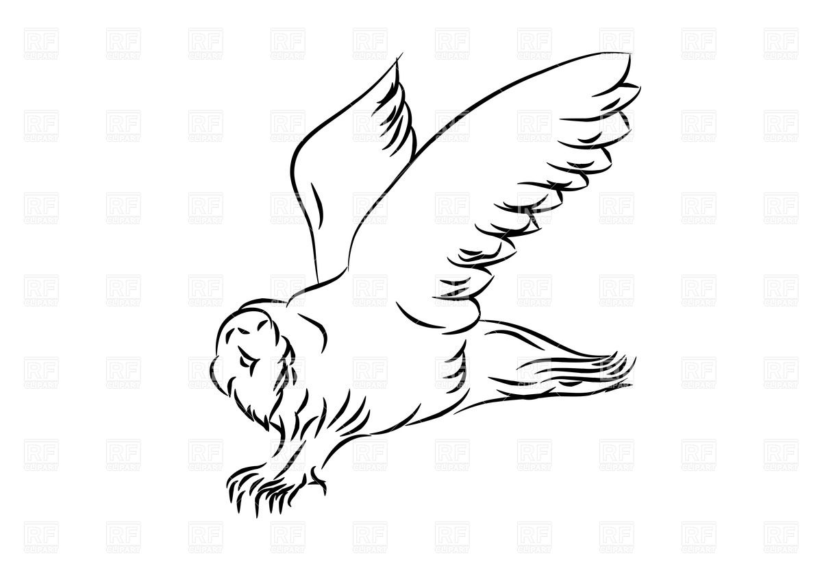 Sketch Of Flying Owl Download Royalty Free Vector Clipart  Eps