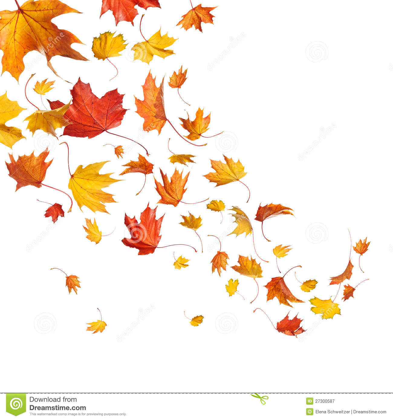 Autumn Falling Leaves Royalty Free Stock Photography   Image  27300587
