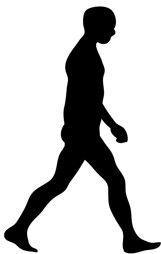 Black Silhouette Man Walking