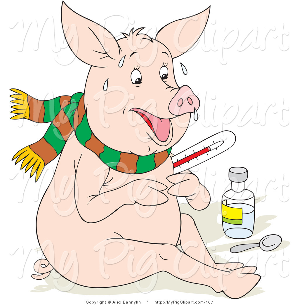 File Name   Swine Clipart Of A Sick Pig With The Flu Sweating Holding