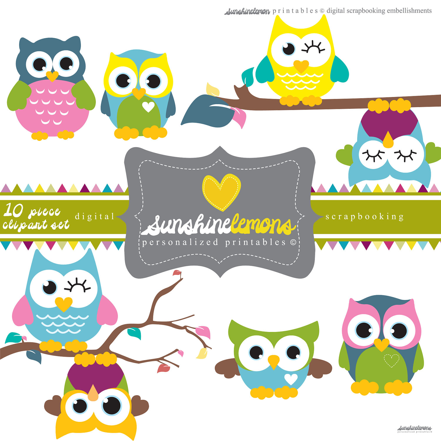 Cute Owl Clipart 10 Piece Clipart Set By Sunshinelemons On Etsy