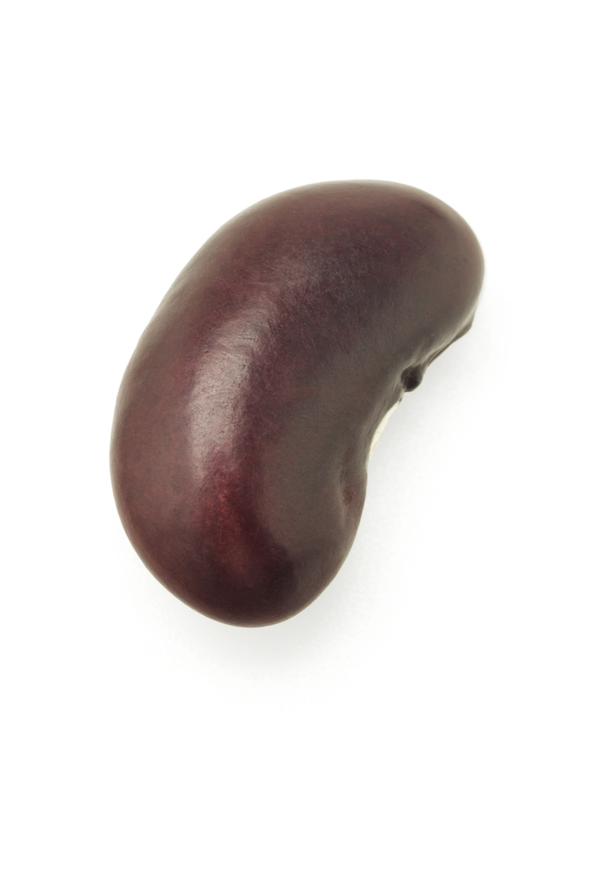 Kidney Beans Provide Your Daily Diet With An Excellent Source Of