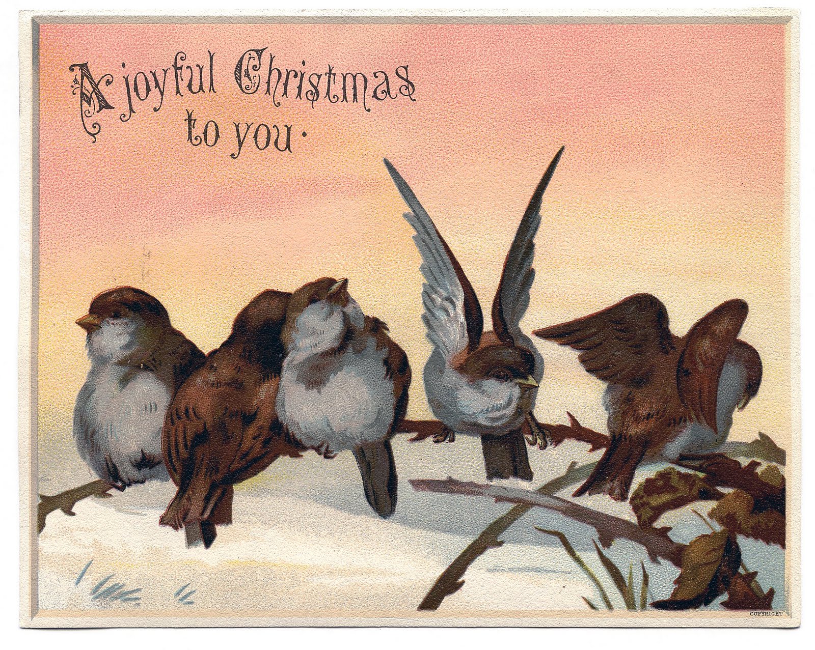 Vintage Christmas Graphic Image   Cute Birds On Branch   The Graphics