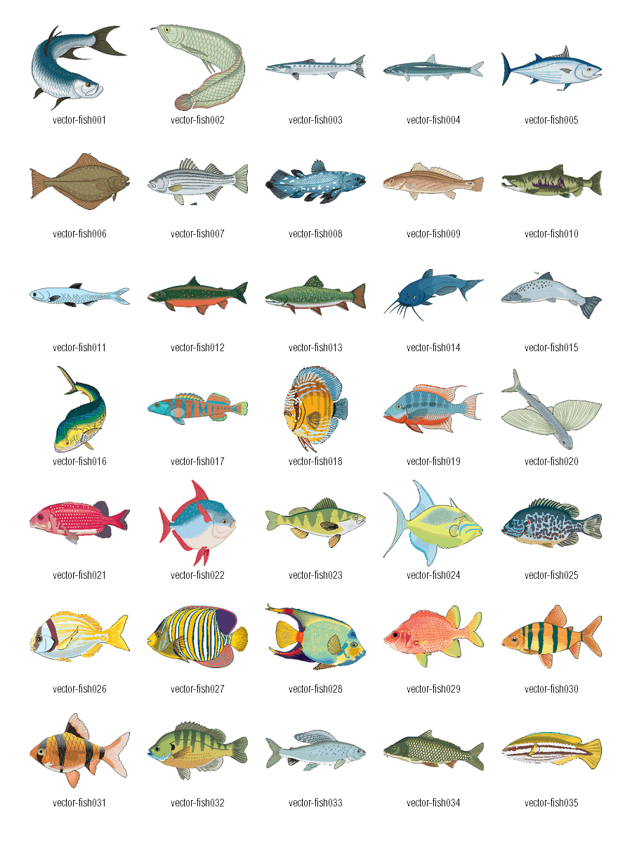 Рыба на букву н 4 буквы. Морская рыба названия. Название рыб по алфавиту аквариумных. Рыба на букву с. Рыбки с буквами.