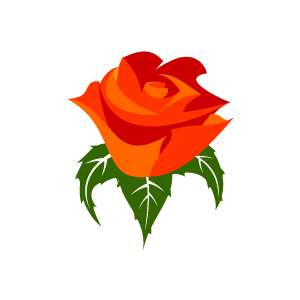 Clipart Contact Us Flower Clipart Orange Rose With White Background