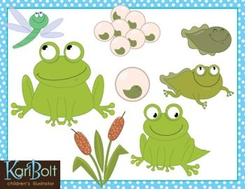 Frog Life Cycle And Pond  Free  Clipart By Kari Bolt  I Just Love Kari