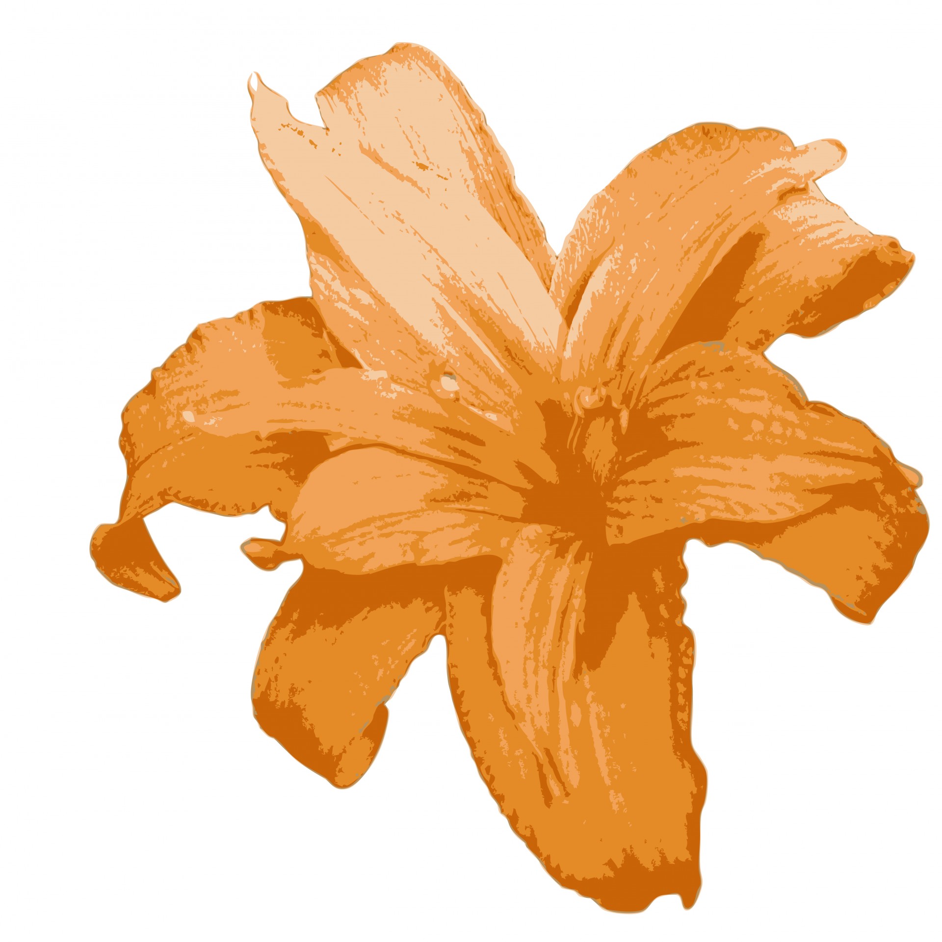 Orange Lily Flower Clipart Free Stock Photo Hd   Public Domain