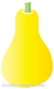 Description  Clip Art Picture Of A Yellow Summer Squash  Clipart
