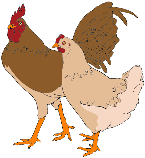 Description Rooster And Hen Clipart 01 Svg