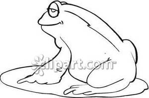 Black And White Frog On A Lily Pad   Royalty Free Clipart Picture