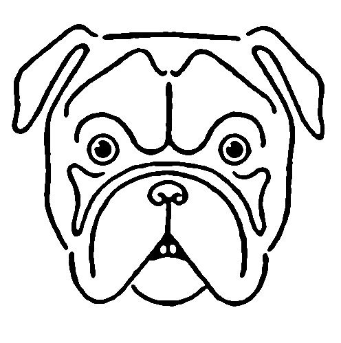 Bulldog Face Drawing Avintage Kids Printable Draw A Bulldog The    
