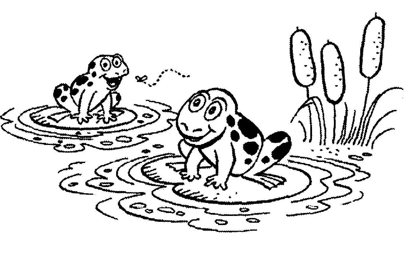 Frog On Lily Pad Clipart   Clipart Panda   Free Clipart Images