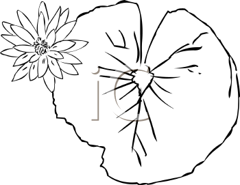 Lily Pad Clipart Black And White Flower Clipart