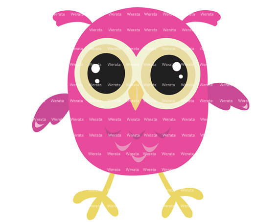 Baby Owl Clip Art   Baby Owl   Cute Owl Digital Clip Art   Baby Owl