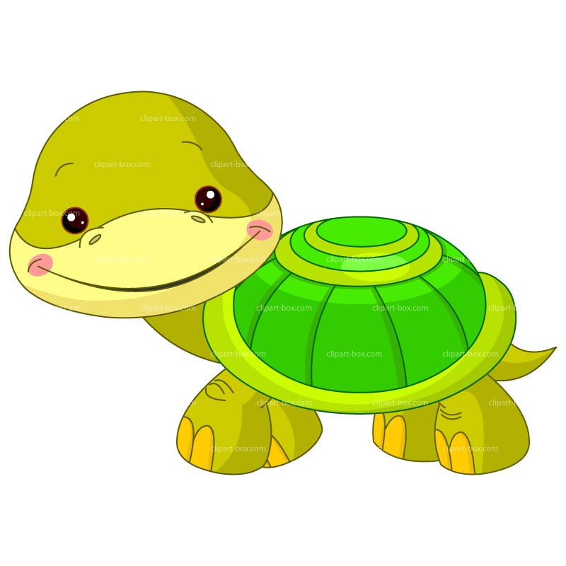 Clipart Baby Turtle   Royalty Free Vector Design