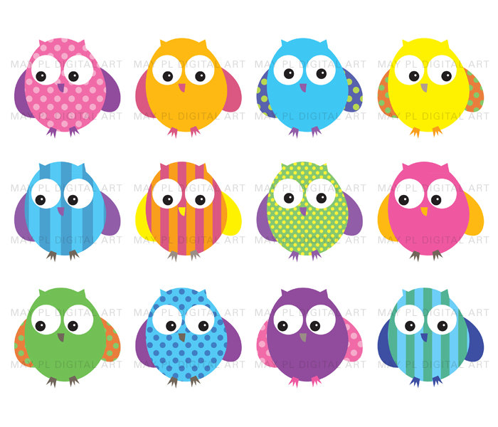Owls Clip Art Cute Bright Bold Colored Digital By Maypldigitalart
