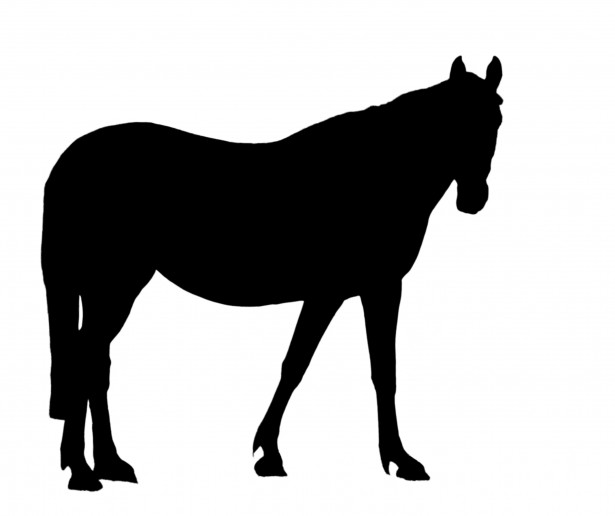 Black Horse Silhouette Clipart By Karen Arnold